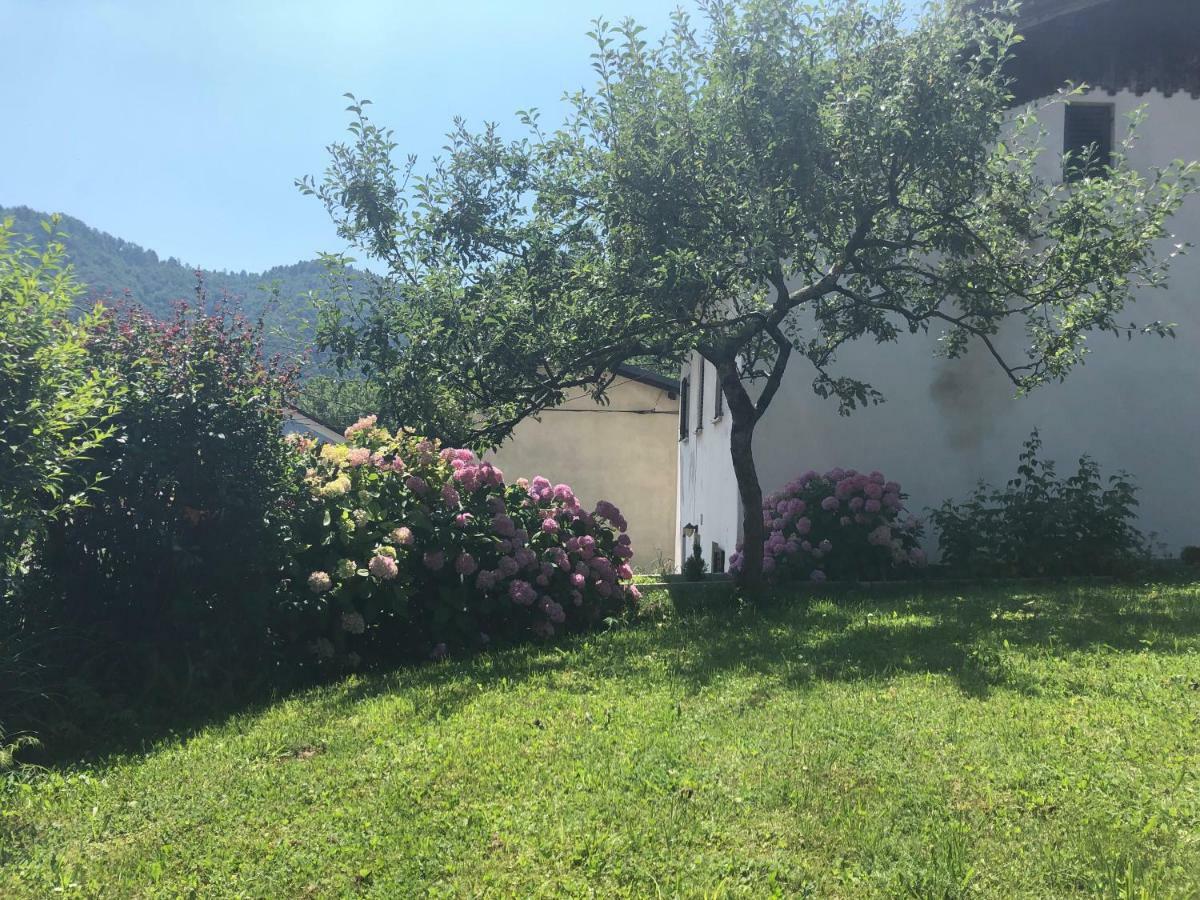 Apartment Olivia Sella di Volzana Zewnętrze zdjęcie