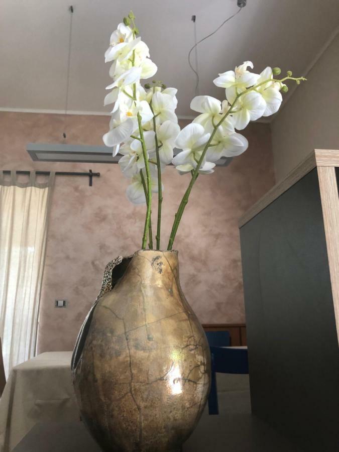 Apartment Olivia Sella di Volzana Zewnętrze zdjęcie